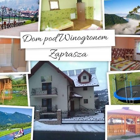 Dom Pod Winogronem Apartment Szczawnica Luaran gambar