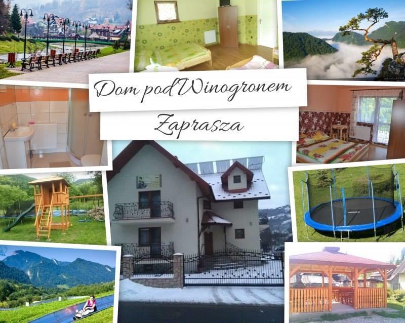 Dom Pod Winogronem Apartment Szczawnica Luaran gambar